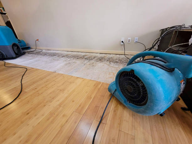 Professional Water Damage Repair technician working in Mohave Valley, AZ